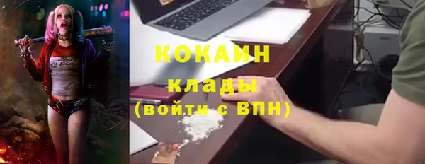 ПСИЛОЦИБИНОВЫЕ ГРИБЫ Михайловка