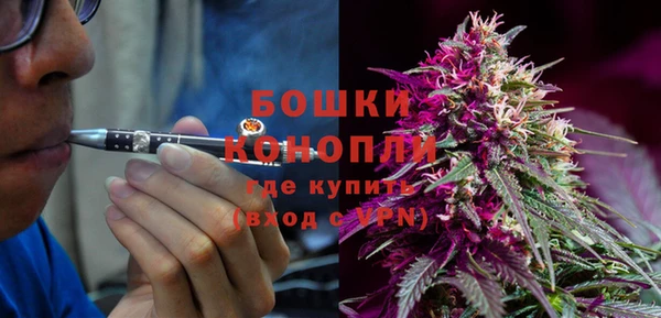 ПСИЛОЦИБИНОВЫЕ ГРИБЫ Михайловка