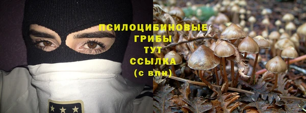 ПСИЛОЦИБИНОВЫЕ ГРИБЫ Михайловка