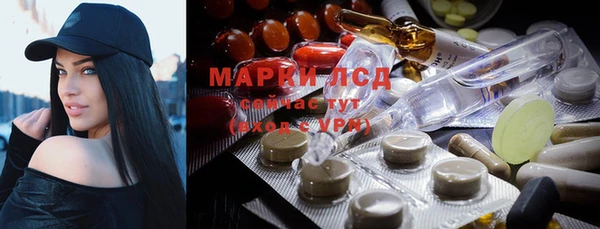 ПСИЛОЦИБИНОВЫЕ ГРИБЫ Михайловка